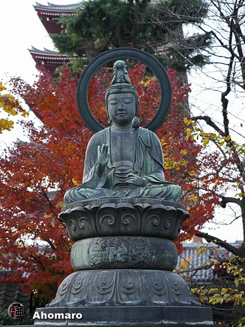 写真00