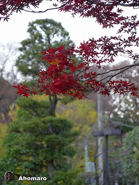 写真00
