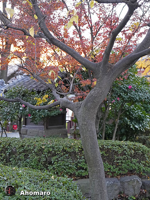 写真00