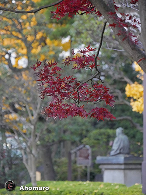 写真00
