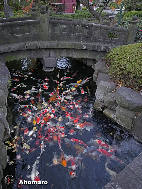 写真00