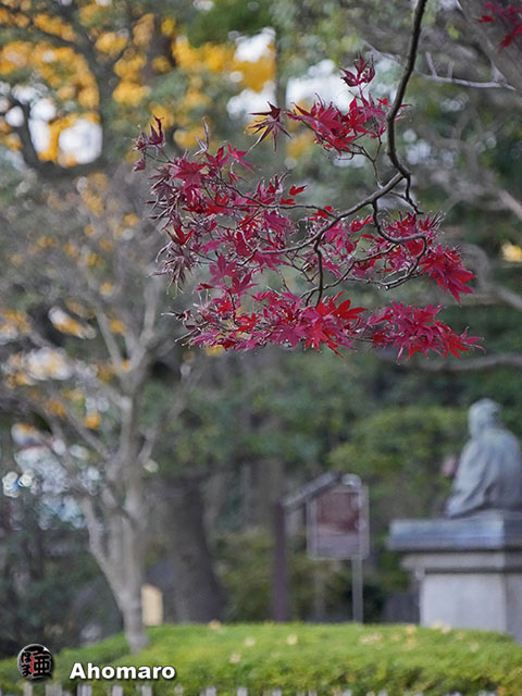 写真00