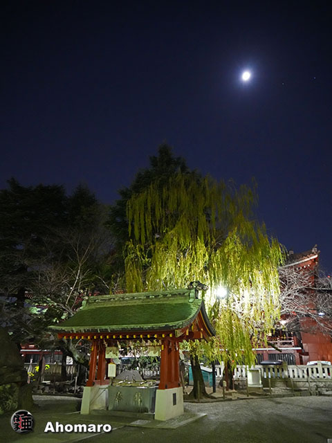 写真00