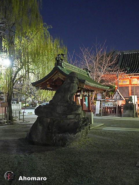 写真00