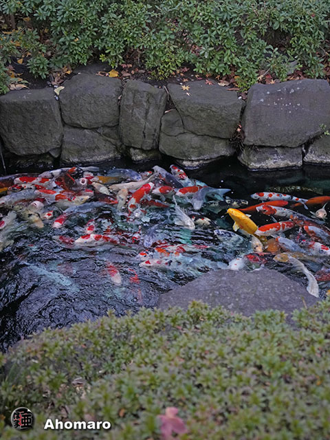 写真00