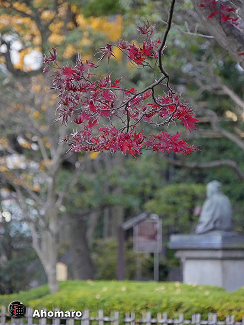 写真00