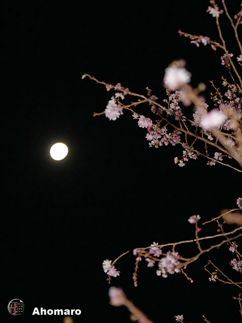 写真00
