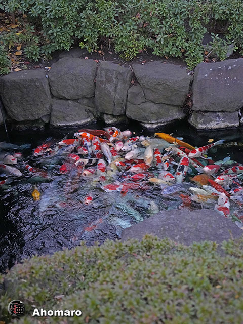 写真00