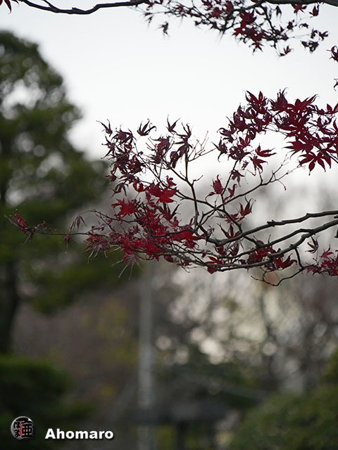 写真00