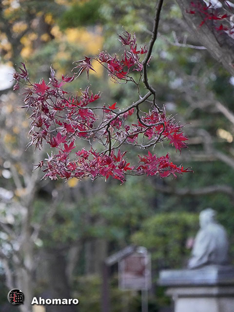 写真00