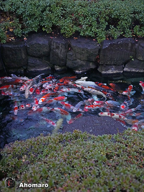 写真00