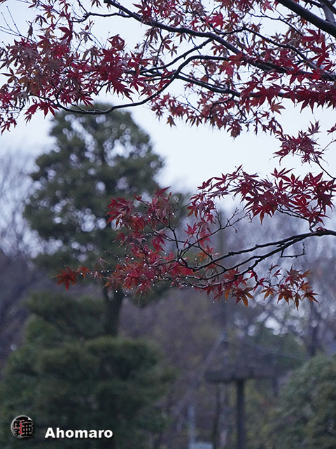 写真00