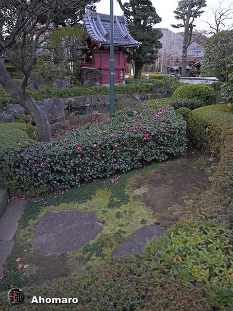 写真00