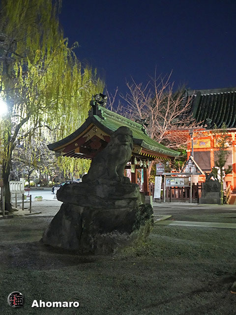 写真00