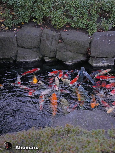 写真00