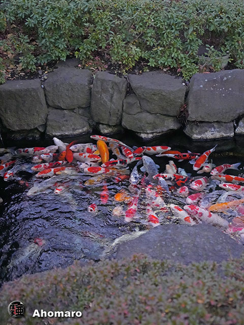 写真00