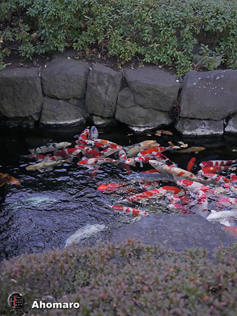 写真00