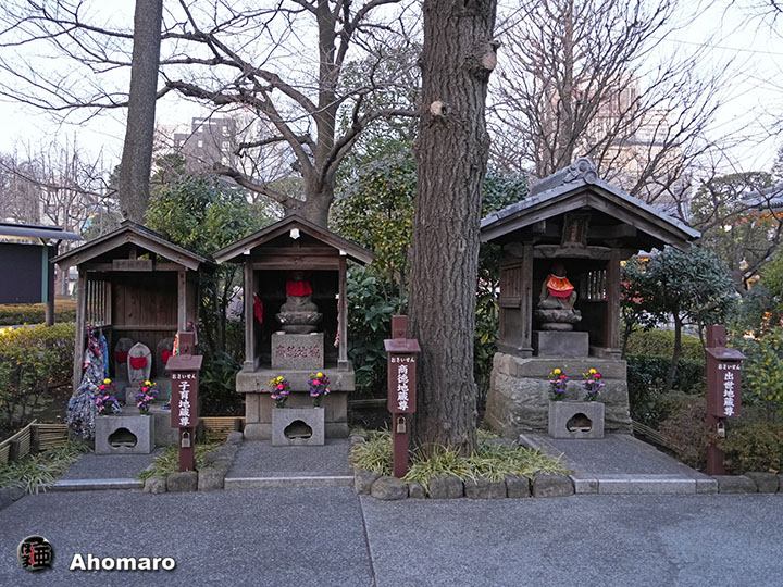 写真00