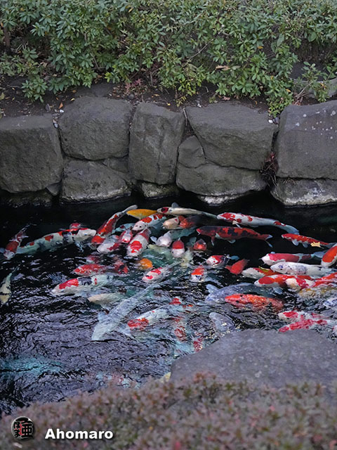 写真00