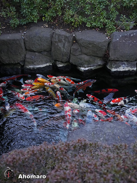 写真00