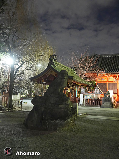 写真00
