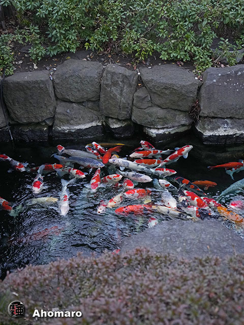 写真00