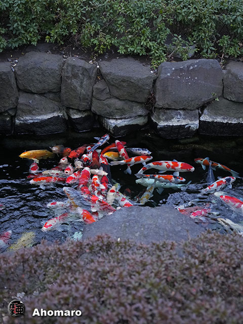 写真00