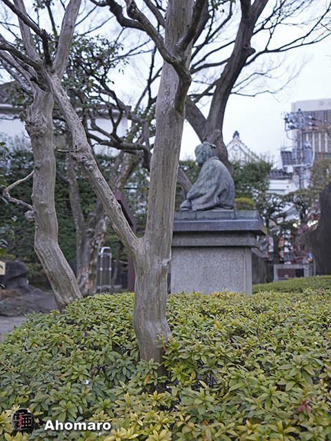 写真00