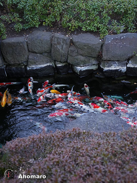 写真00