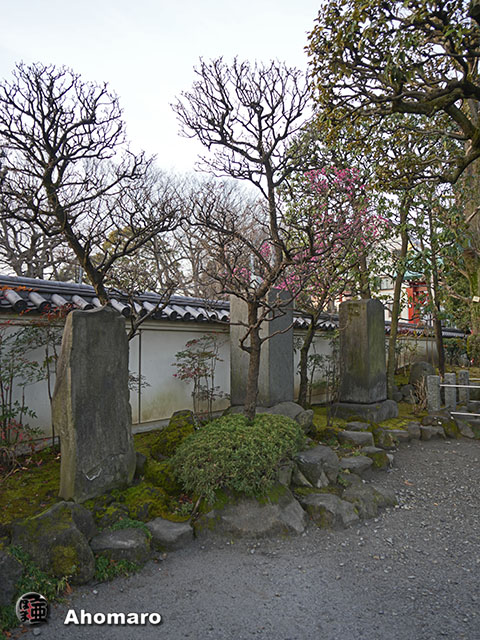 写真00