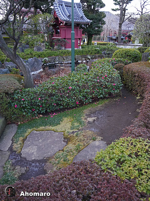 写真00