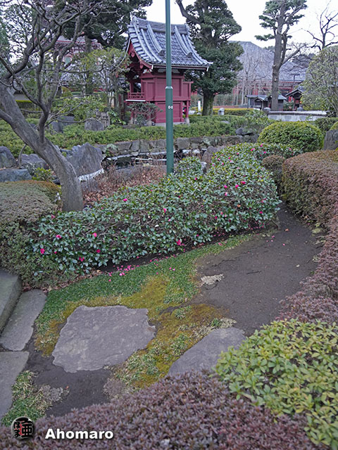 写真00