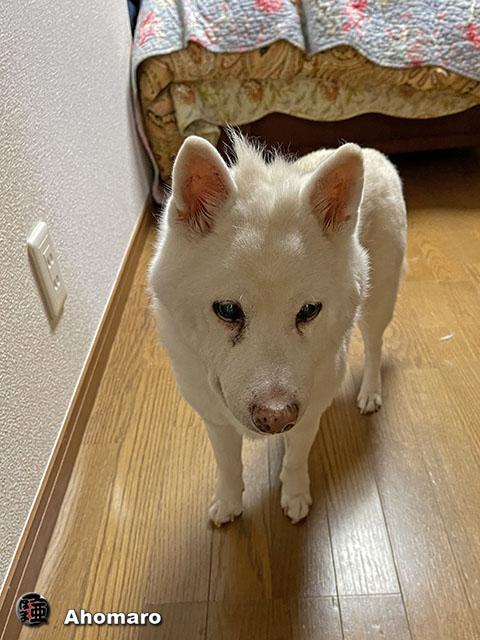 ʐ^00