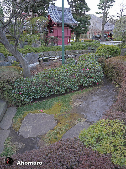 写真00