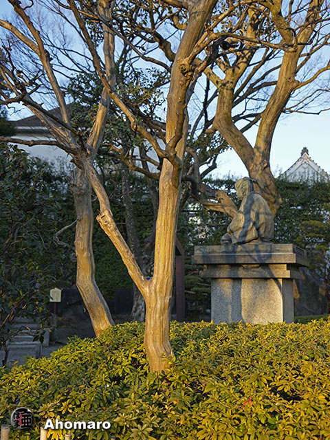 写真00