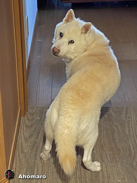 ʐ^00