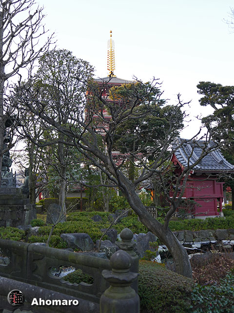 写真00