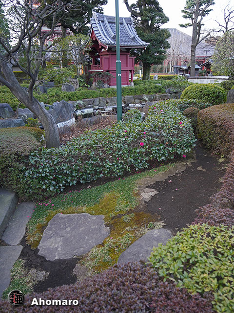 写真00