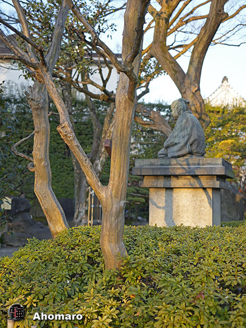写真00