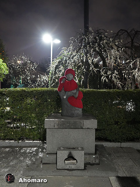 写真00
