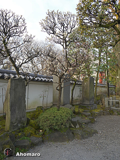写真00