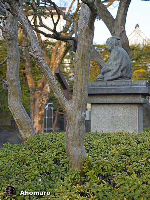 写真00