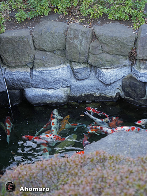 写真00