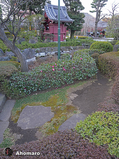 写真00