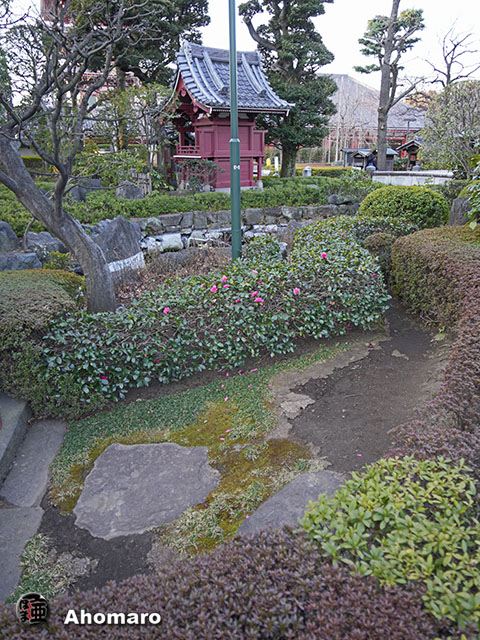 写真00