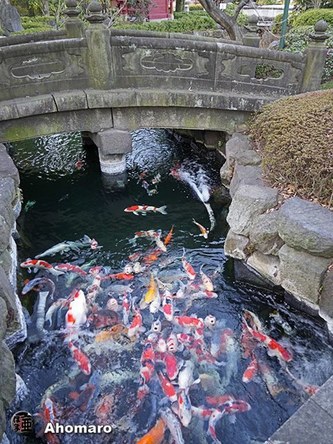 写真00