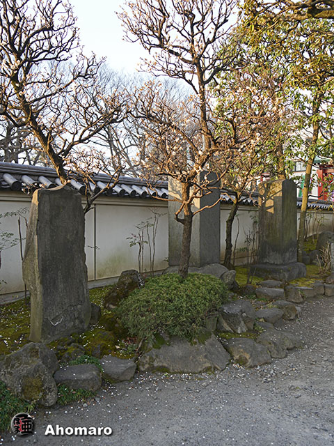 写真00