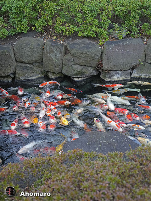 写真00
