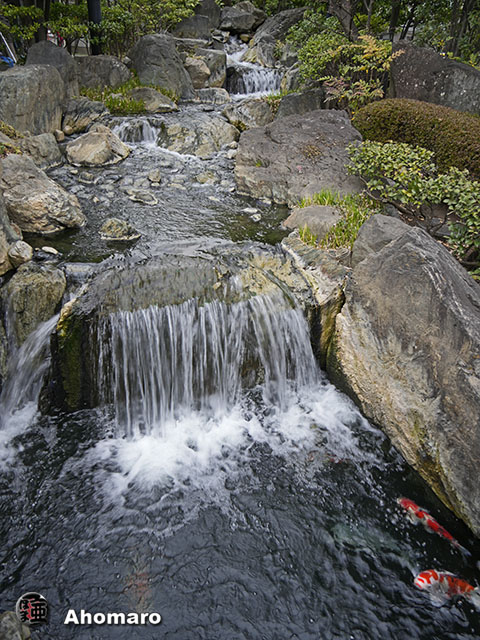 写真00