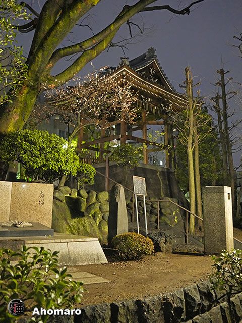 写真00